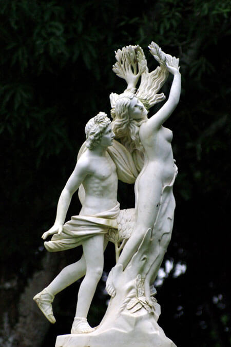 Vaginismo e dispareunia la metafora Dafne e Apollo